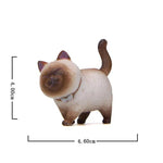 Cat Magic - Add a touch of happiness to any room