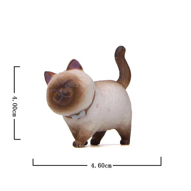 Cat Magic - Add a touch of happiness to any room