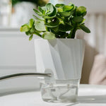 Green Thumb – Self-Watering Planter with Dual System