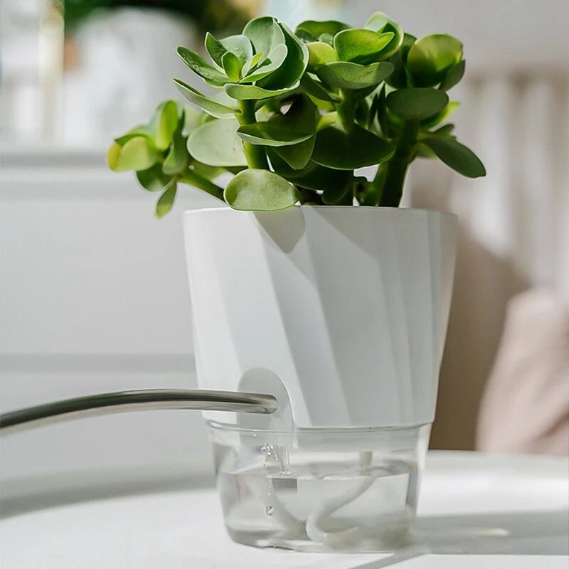Green Thumb – Self-Watering Planter with Dual System