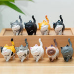 Cat Magic - Add a touch of happiness to any room