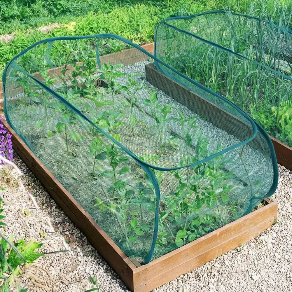 Flexible Plant Protection Cage for Raised Beds | Robust Protection