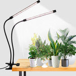 LumiGrow – Effizientes LED-Wachstumslicht für Ihre Pflanzen