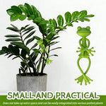 Frog Design Plant Supports – Stability with Charm