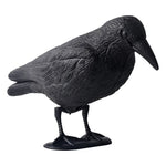 Lifelike Crow Decoy 35 cm | Effective Bird Control for Balcony and Garden
