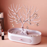 Elegant Jewelry Organizer – No More Clutter