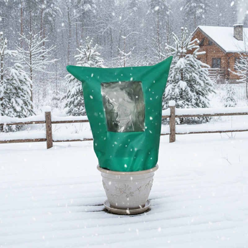 Winter Protection for Plants – Optimal Protection Against Cold