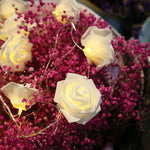 Romantic LED Rose Blossom Fairy Lights | 10/20 Warm White Lights | Cordless for Weddings and Decoration