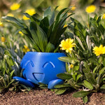 BlühBox – Bring color and joy to your home