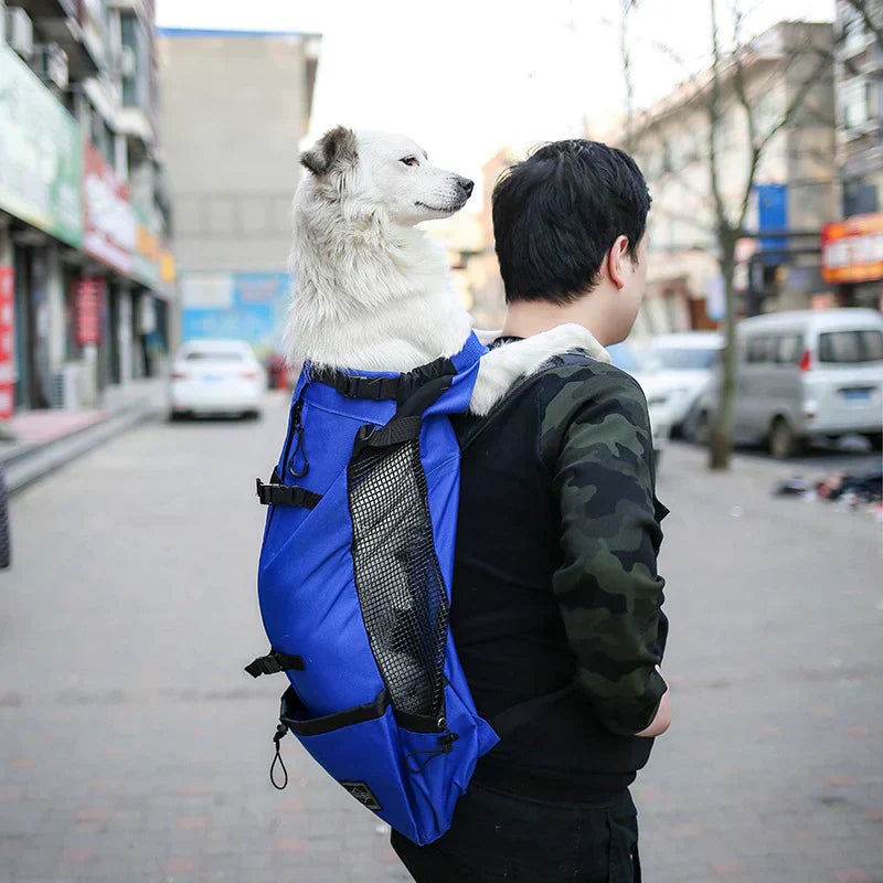 Hunderrucksack – Bequeme Tragetasche für mittelgroße Hunde mit Sicherheitsgurt und Stauraumtaschen