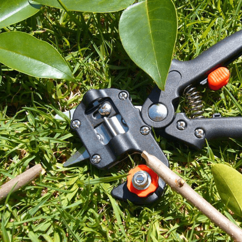 Gartenmeister | Professionelles Veredelungswerkzeug-Set