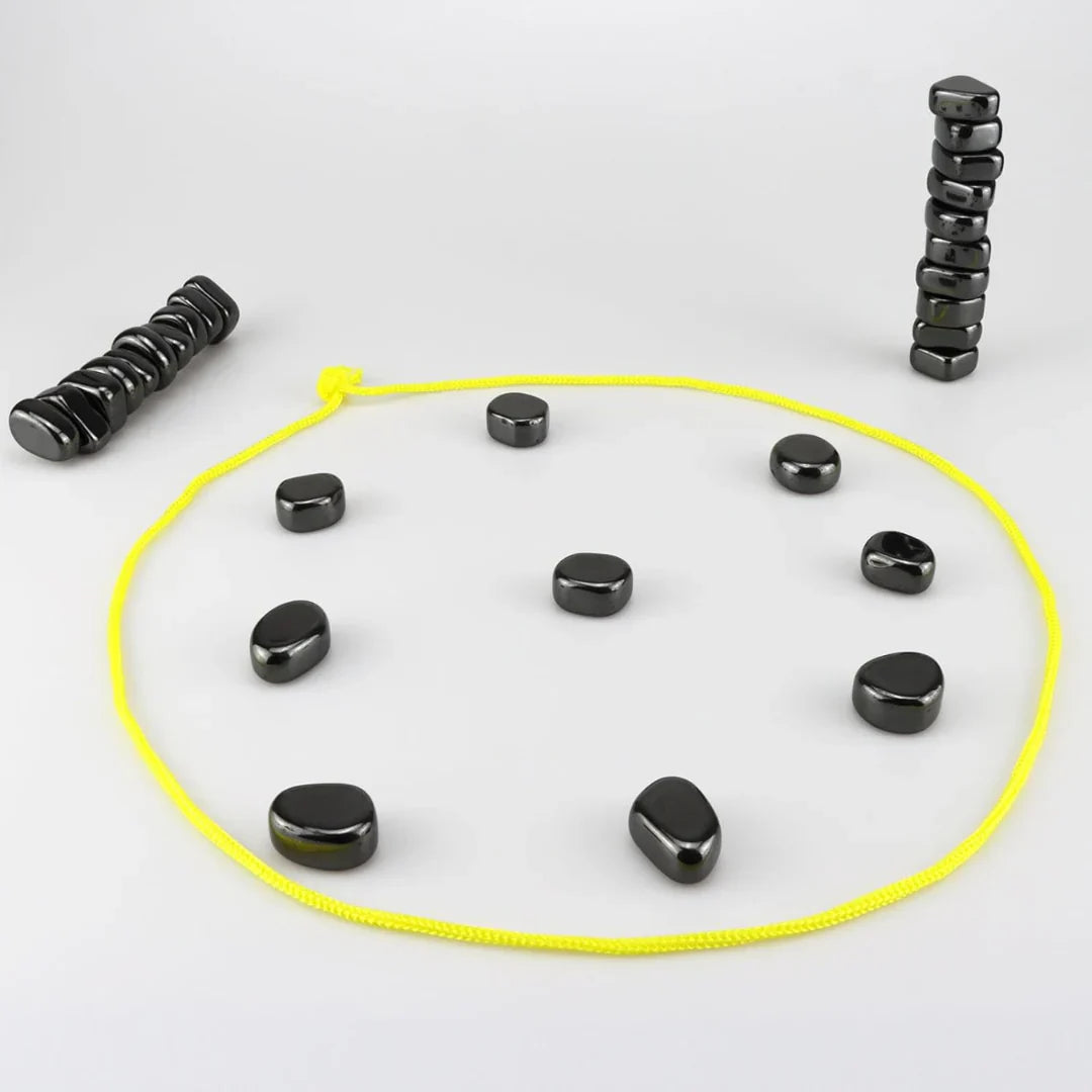 Familien Schachspiel mit Magneten