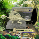 DinoEntdecker | Fossilien-Ausgrabungsset für Kinder