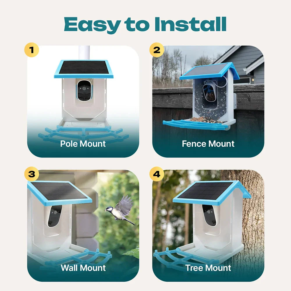 Naturblick Bird Feeder | Experience Wildlife Up Close