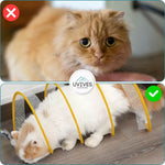 Abenteuerlicher Katzentunnel mit Spielzeug für aktive Katzen