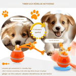 Interactive PetSphere – For hours of playtime fun and mental fitness