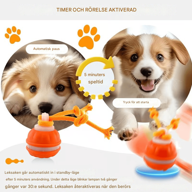 Interactive PetSphere – For hours of playtime fun and mental fitness