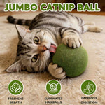 Catnip Balls for Playful Dental Care