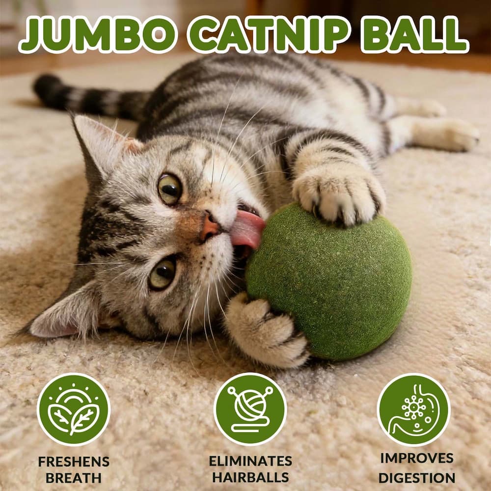 Catnip Balls for Playful Dental Care