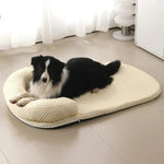 CoolPaws - Comfortable Cooling for Your Pet
