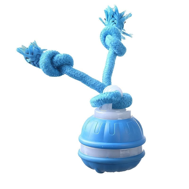 Interactive PetSphere – For hours of playtime fun and mental fitness