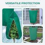 Winter Protection for Plants – Optimal Protection Against Cold