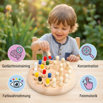 Schachspiel mit pädagogischem Memory-Effekt
