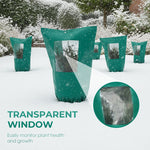 Winter Protection for Plants – Optimal Protection Against Cold