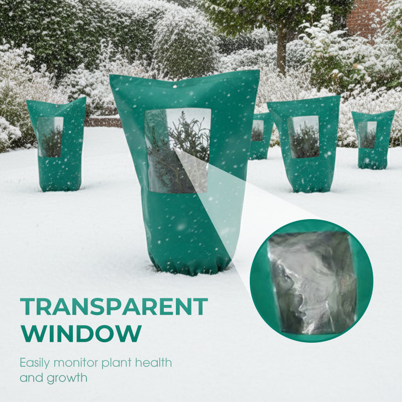 Winter Protection for Plants – Optimal Protection Against Cold