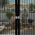 Insect screen for doors with automatic closing mechanism