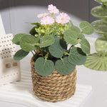 Eucalyptus Dream – Mini Artificial Plant in Braided Basket | 11 cm