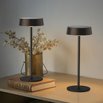 Cordless Solar Table Lamp with Dimmer and 3 Light Colors