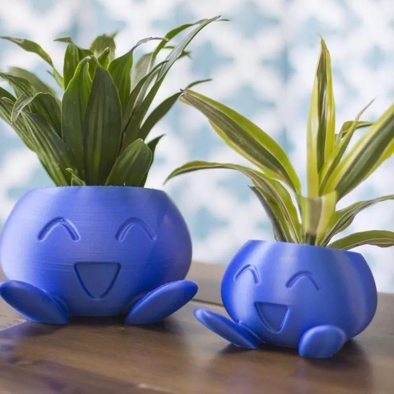 BlühBox – Bring color and joy to your home