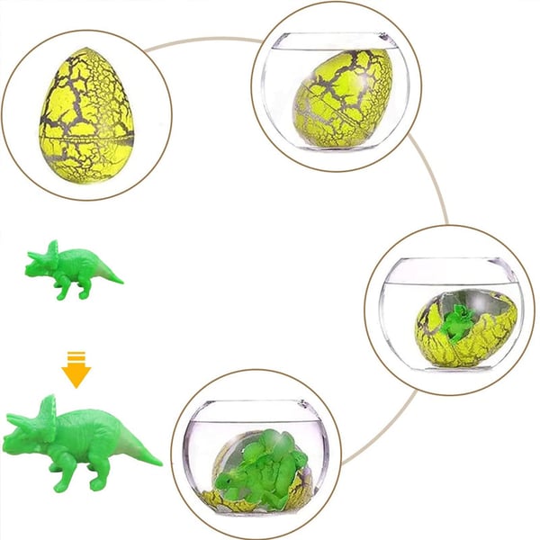 Dinosaurier-Eier zum Selber Schlüpfen – Magisches Erlebnis