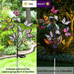 Sparkling Garden Wizards – Solar Lights for Your Outdoor Area