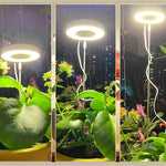 LumaGrow - Perfect Lighting for Magnificent Houseplants