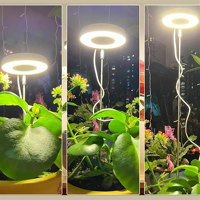 LumaGrow - Perfect Lighting for Magnificent Houseplants