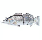 Fangmeister – The Perfect Solution for Successful Fishing Trips