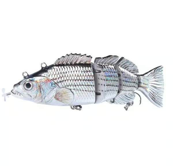 Fangmeister – The Perfect Solution for Successful Fishing Trips