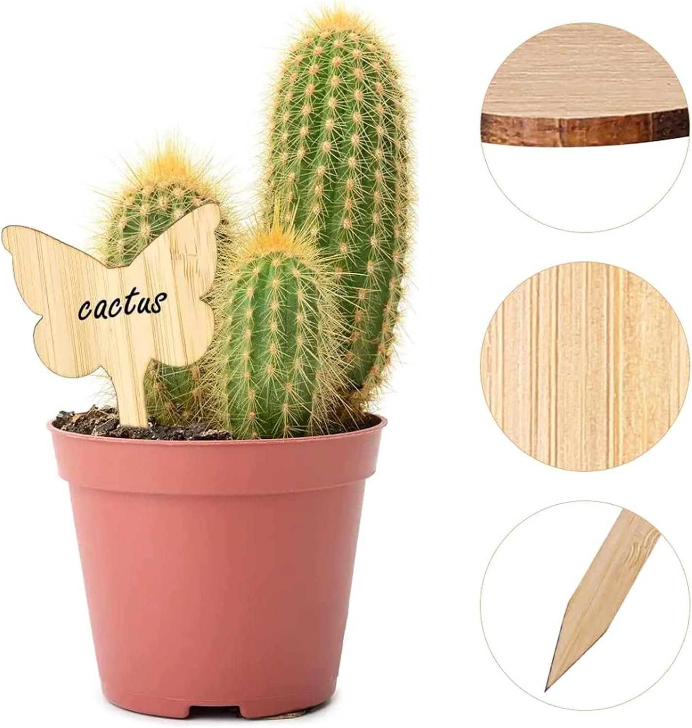 Plant care made easy with flexible wooden markers