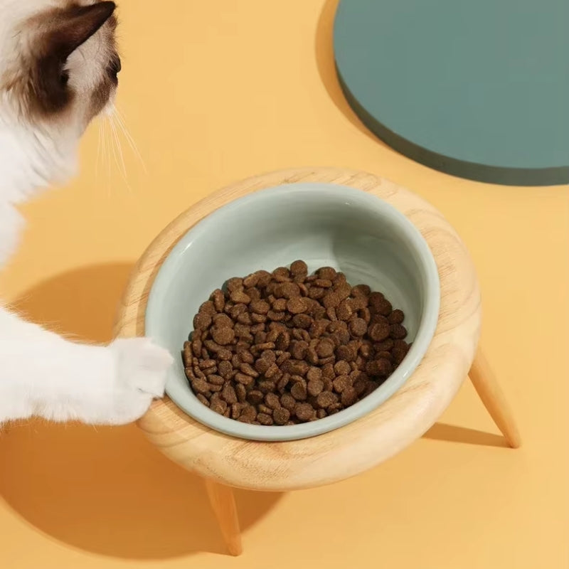 Hochwertige Keramik-Futterstation für Katzen mit Holzständer