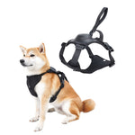 FlexiLeash | All-in-One Hundegeschirr mit einziehbarer Leine