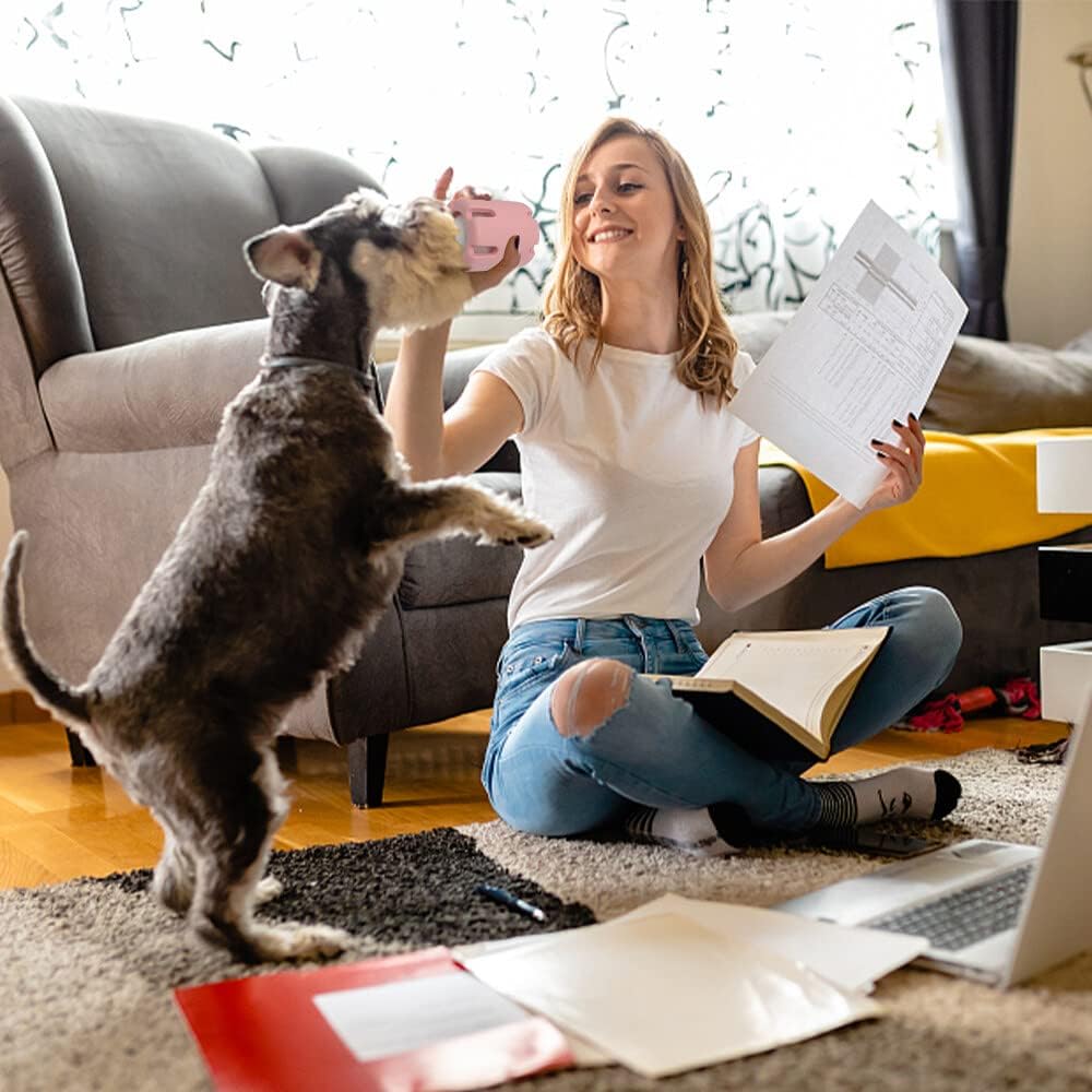 Frohsinn - Activity, Dental Care, and Joy for Your Dog