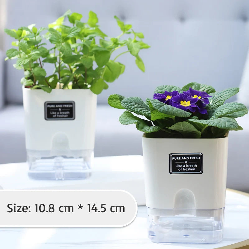 Water-Saving Plant Friend – Automatic Watering Made Easy