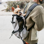 Hunderrucksack – Bequeme Tragetasche für mittelgroße Hunde mit Sicherheitsgurt und Stauraumtaschen