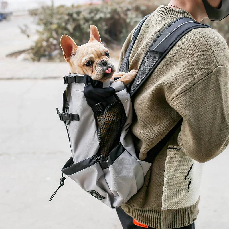 Hunderrucksack – Bequeme Tragetasche für mittelgroße Hunde mit Sicherheitsgurt und Stauraumtaschen