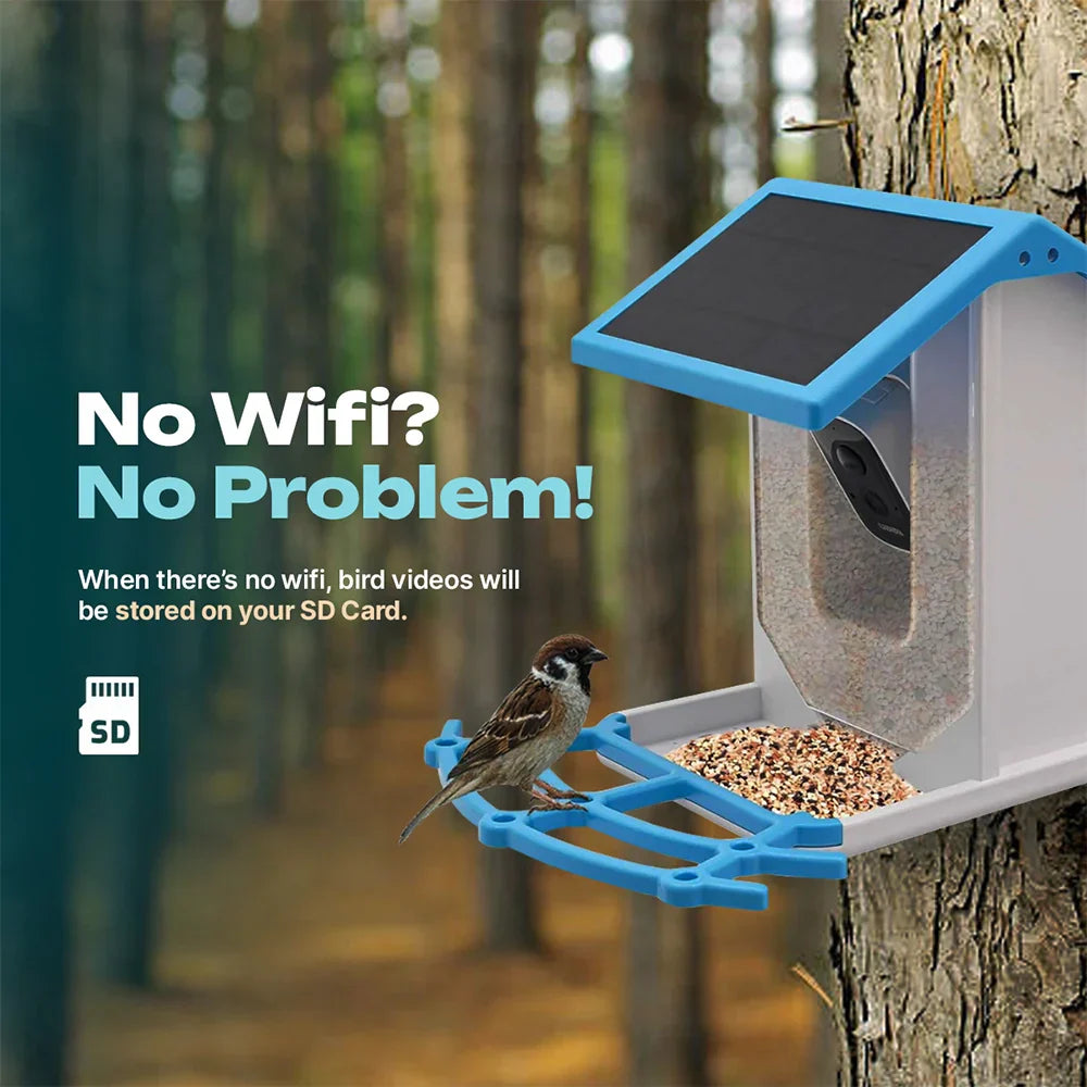 Naturblick Bird Feeder | Experience Wildlife Up Close