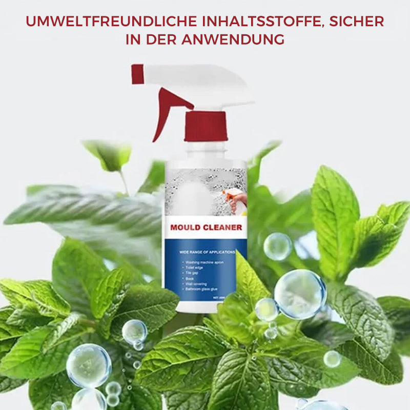 Reinigungs-Schaum gegen Schimmel