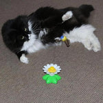 Katzenfreude | Interaktives Spielzeug für Ihre Katze