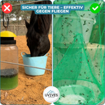 Insect Traps – Your reliable protection against flies